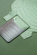 Crocodile magnetic card holder